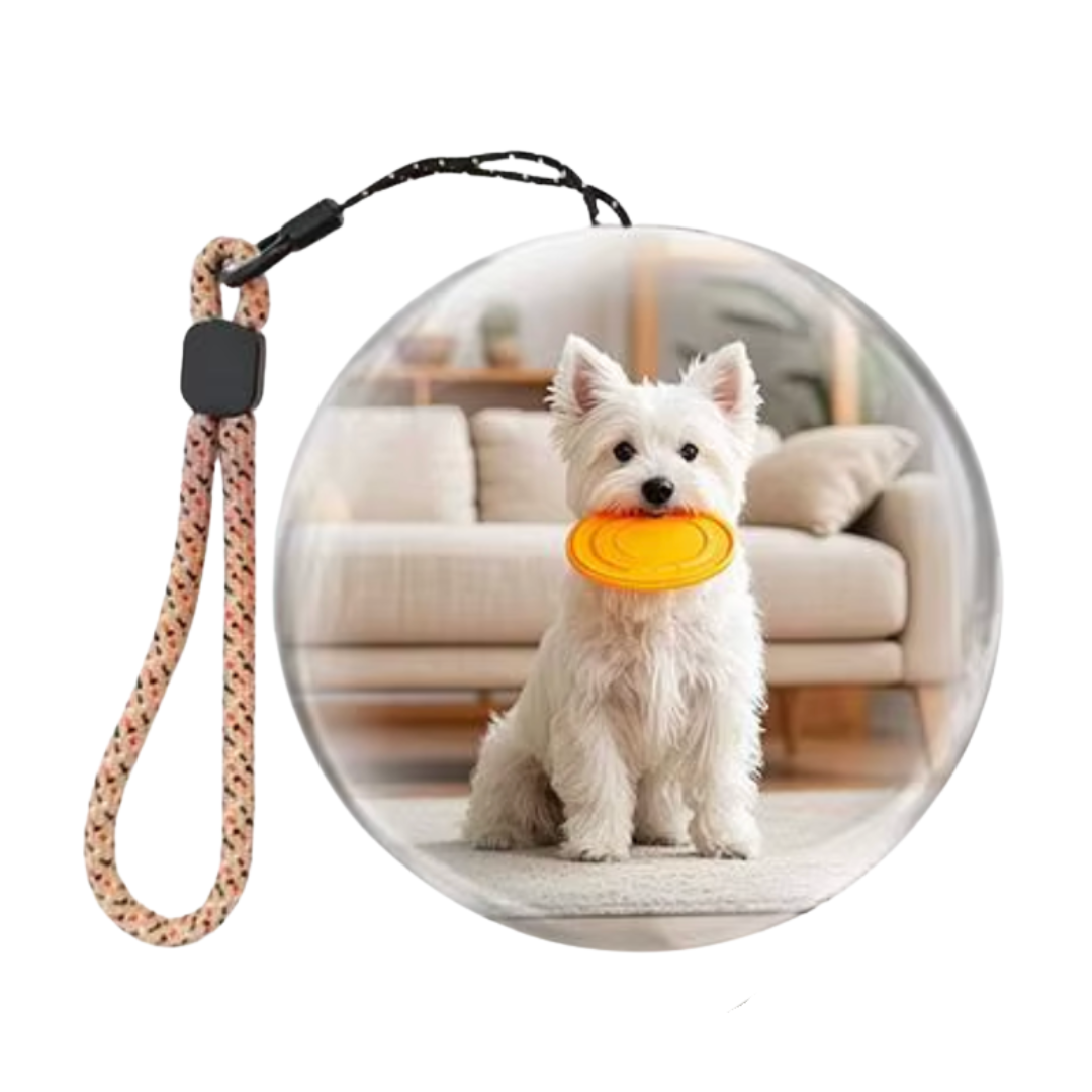 Memora - Orbe de memória