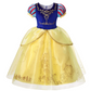 Fantasia Branca de Neve Premium