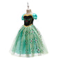 Fantasia Princesa Ana Frozen Luxo