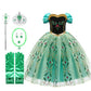 Fantasia Princesa Ana Frozen Luxo