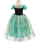 Fantasia Princesa Ana Frozen Luxo